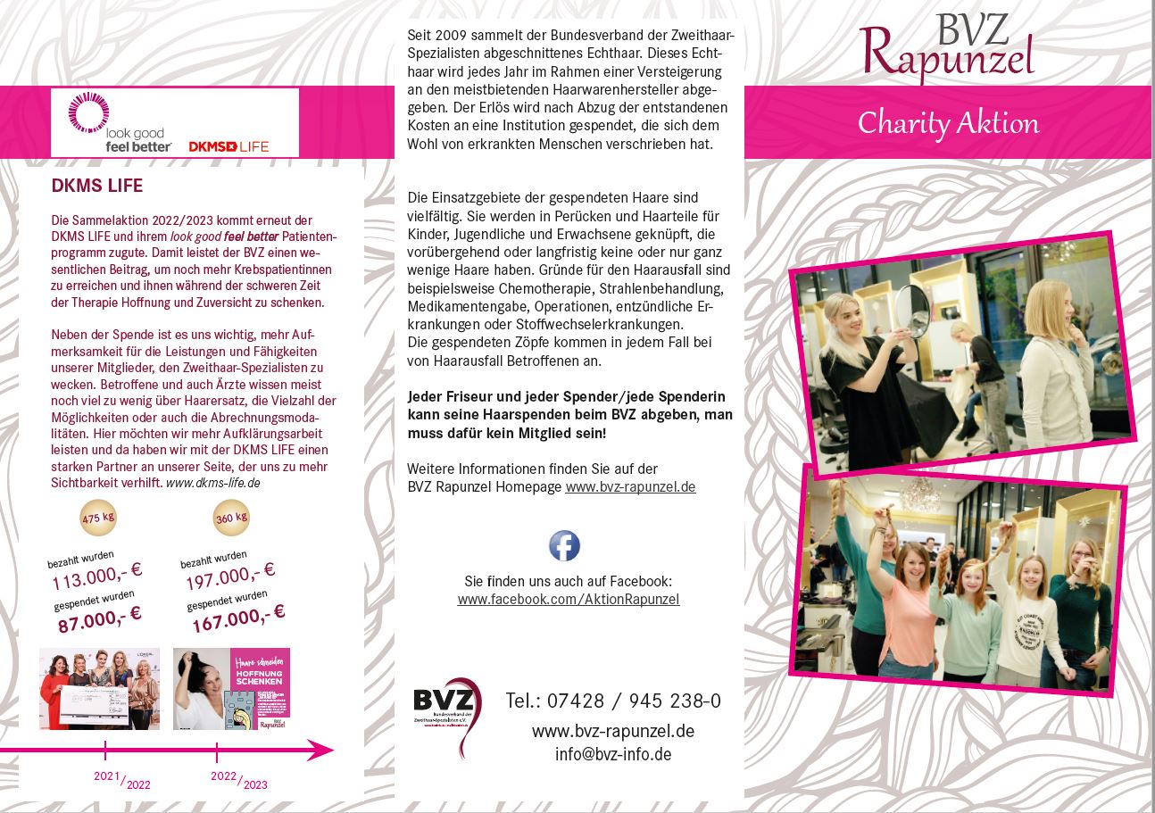 BVZ Rapunzel Flyer