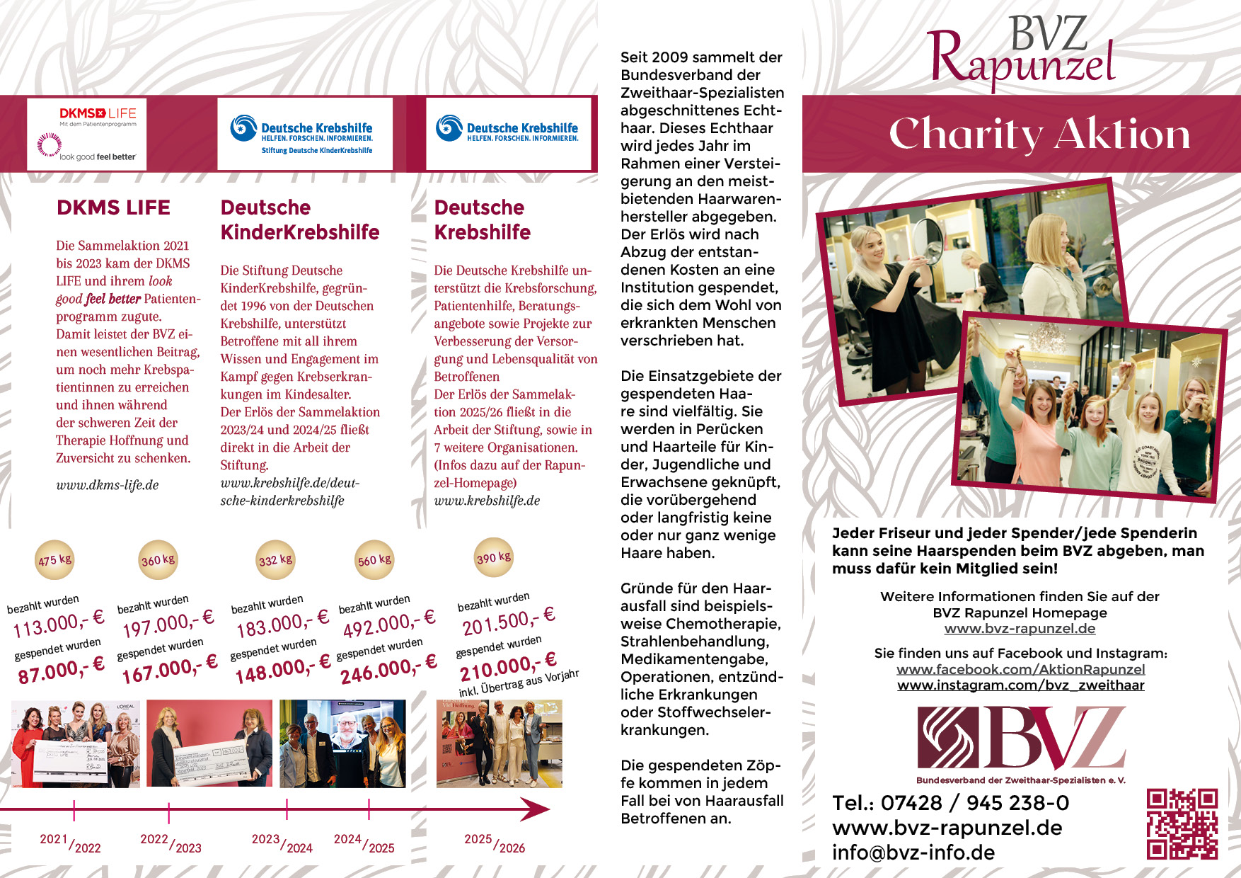 Rapunzel Flyer