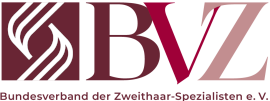 logo-BVZ